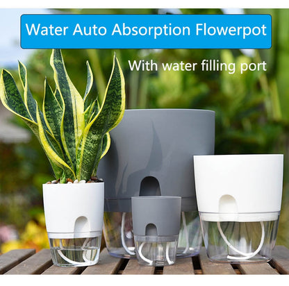 Self Watering Flower Pot