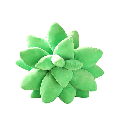 Succulent Plant Pillow