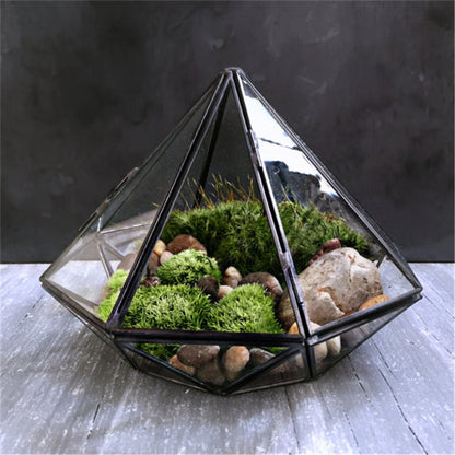 Terrarium