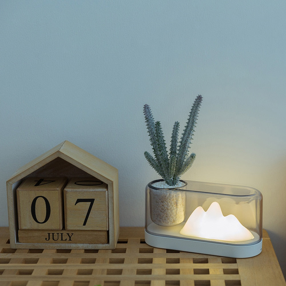 Succulent Lamp