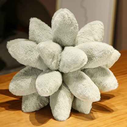 Succulent Plant Pillow