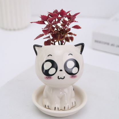 Mini Ceramic Pot