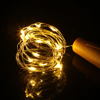 Wine Bottle Lights with Cork