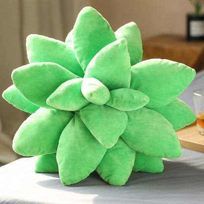 Succulent Plant Pillow