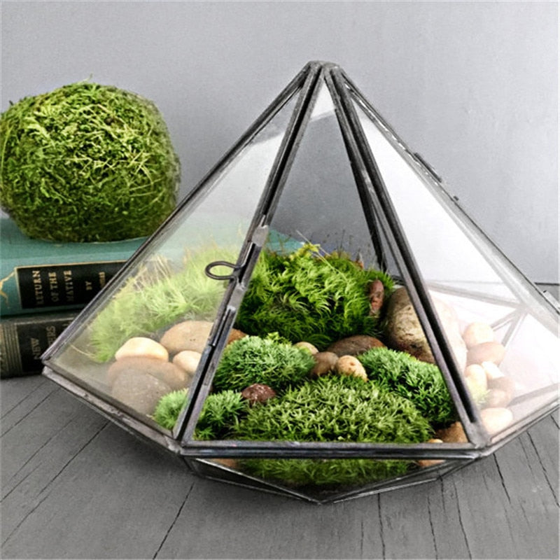 Terrarium