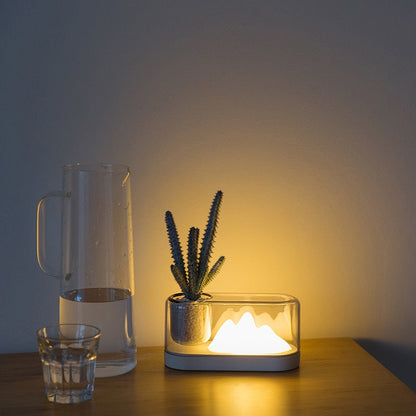 Succulent Lamp