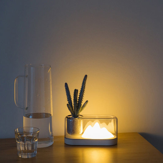 Succulent Lamp